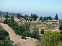 Fremont_Older_Open_Space_Preserve_15.jpg