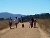 Fremont_Older_Open_Space_Preserve_18.jpg