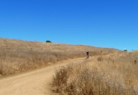 Fremont_Older_Open_Space_Preserve_7.jpg