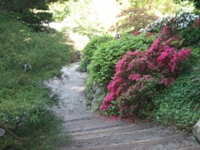 HakoneGarden10.JPG