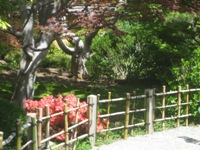 HakoneGarden6.JPG