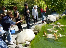 Hakone_Trip_24.jpg