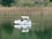 Lake_Chabot_Marina_Park_13.JPG