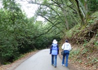 Lake_Chabot_Marina_Park_15.JPG