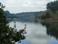 Lake_Chabot_Marina_Park_19.JPG