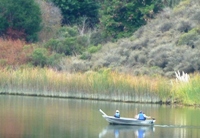 Lake_Chabot_Marina_Park_24.JPG