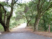 Lake_Chabot_Marina_Park_25.JPG