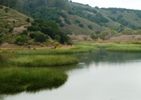 Lake_Chabot_Marina_Park_28.JPG