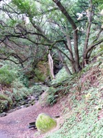 Lake_Chabot_Marina_Park_29.JPG