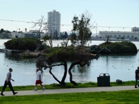 Lake_Merritt_Wildlife_Full Review_1.jpg