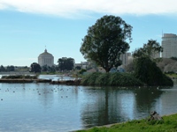 Lake_Merritt_Wildlife_Full Review_2.jpg