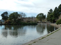 Lake_Merritt_Wildlife_Full Review_3.jpg