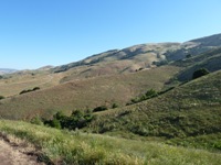 MissionPeakRegionalPreserve10.JPG