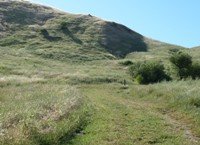 MissionPeakRegionalPreserve19.JPG