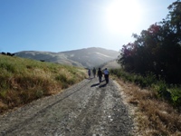 MissionPeakRegionalPreserve2.JPG