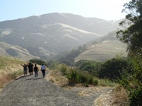 MissionPeakRegionalPreserve5.JPG