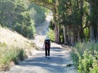 MissionPeakRegionalPreserve6.JPG