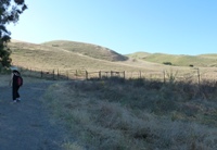 MissionPeakRegionalPreserve7.JPG