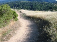 Montebello_Open_Space_Preserve_10.jpg