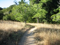 Montebello_Open_Space_Preserve_12.jpg