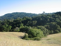 Montebello_Open_Space_Preserve_6.jpg