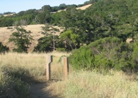 Montebello_Open_Space_Preserve_8.jpg