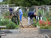 MountainView_SrCenter_Community_Garden10.jpg