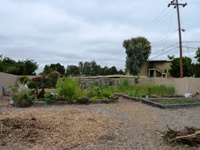 MountainView_SrCenter_Community_Garden7.jpg