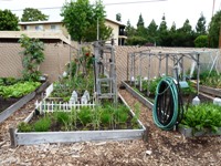 MountainView_SrCenter_Community_Garden8.jpg