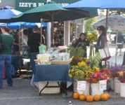PaloAltoCAaveFM4sized.JPG
