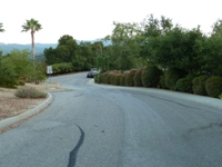 Parker_Ranch_16s.jpg