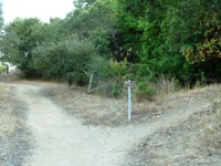Parker_Ranch_22s.jpg