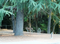 Parker_Ranch_2s.jpg