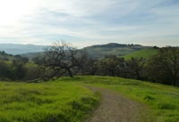 Santa_Teresa_County_Park_7.jpg