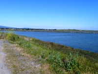 Shoreline_Park_22.jpg