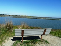 Shoreline_Park_24.jpg