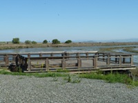 Shoreline_Park_27.jpg