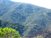 Sierra_Azul_Open_Space_Preserve_5.JPG