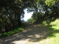 Sierra_Azul_Open_Space_Preserve_7.JPG