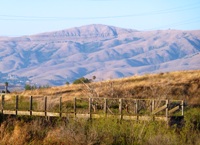 Sunnyvale_Baylands_Park_13.JPG