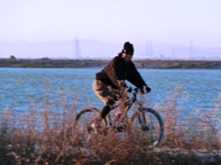 Sunnyvale_Baylands_Park_23.JPG