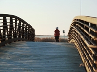 Sunnyvale_Baylands_Park_25.JPG