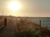 Sunnyvale_Baylands_Park_28.JPG