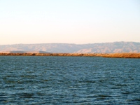 Sunnyvale_Baylands_Park_32.JPG