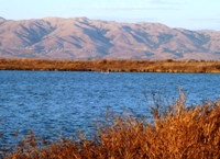 Sunnyvale_Baylands_Park_33.JPG