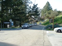 Tilden_Regional_Park_Full_Reivew_1.jpg