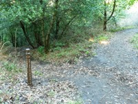 Tilden_Regional_Park_Full_Reivew_11.jpg