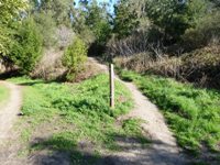 Tilden_Regional_Park_Full_Reivew_3.jpg