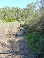 Tilden_Regional_Park_Full_Reivew_4.jpg