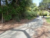 Vasona_Lake_County_Park_Los_Gatos_10.jpg